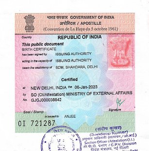 Birth Certificate Apostille Stamp
