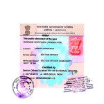 Degree certificate Apostille service for Hungary in Mumbai, Birth certificate Apostille service for Hungary in Mumbai, Marriage certificate Apostille service for Hungary in Mumbai, Commercial certificate Apostille service for Hungary in Mumbai, Degree certificate legalization service for Hungary in Mumbai, Birth certificate legalization service for Hungary in Mumbai, Marriage certificate legalization service for Hungary in Mumbai, Commercial certificate legalization service for Hungary in Mumbai, Exports document legalization service for Hungary in Mumbai, Mumbai issued birth certificate legalization service for Hungary, Mumbai issued Degree certificate legalization service for Hungary, Mumbai issued Marriage certificate legalization service for Hungary,