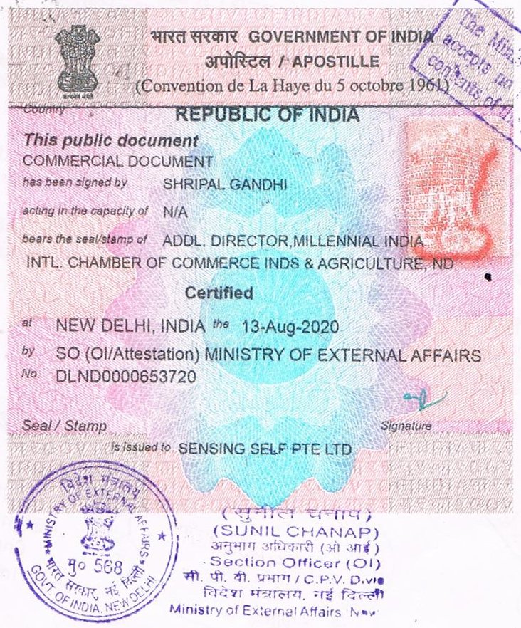 Georgia Apostille Services