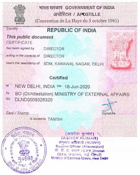 Transfer Certificate Apostille Sample